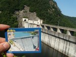 090817ryugahana.JPG