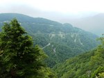 090819rindo1.JPG