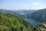 101018 d5.JPG