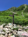 IMG_1247.JPG