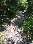 IMG_1570.JPG