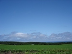harenooho-tuku06 01.JPG
