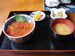ikuradon.JPG